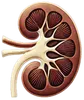 Puropedia Logo
